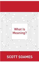 What Is Meaning?