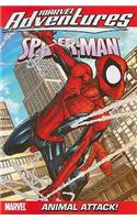 Marvel Adventures Spider-man 13