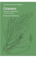 Grasses: Panicum to Danthonia