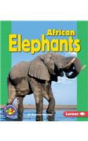 African Elephants