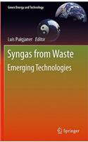 Syngas from Waste