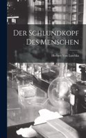 Schlundkopf Des Menschen