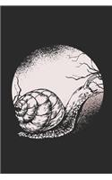 Snail Moon