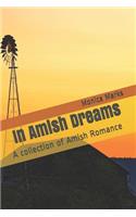 In Amish Dreams