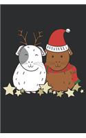 Guinea Pigs