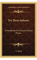 Try These Indoors