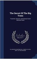 The Secret Of The Big Trees