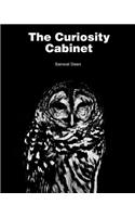 The Curiosity Cabinet
