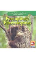 Porcupines / Puercoespines: (Animals That Live in the Forest / Animales del Bosque)