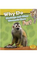 Animal Body Coverings Why Do Monkeys and Other Mammals Have Fur?
