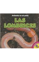 Las Lombrices: (Animales en Mi Patio)