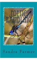 Poetic Rambling
