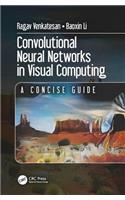 Convolutional Neural Networks in Visual Computing: A Concise Guide
