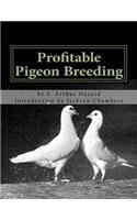 Profitable Pigeon Breeding