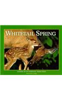 Whitetail Spring
