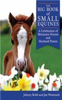 Big Book of Small Equines: A Celebration of Miniature Horses and Shetland Ponies