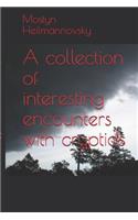 collection of interesting encounters with cryptids