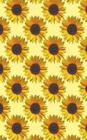 Sunflower Pattern