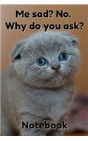 Me sad? No. Why Do You Ask? Notebook