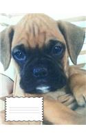 Boxer Puppy Story Paper Notebook 8.5