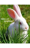 Hello Spring