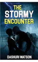 The Stormy Encounter