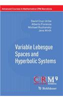 Variable Lebesgue Spaces and Hyperbolic Systems