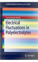 Electrical Fluctuations in Polyelectrolytes