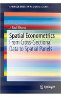 Spatial Econometrics