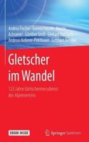 Gletscher Im Wandel