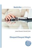 Elsayed Elsayed Wagih
