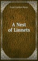 Nest of Linnets