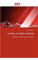 Le Flou En Droit Criminel