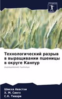Технологический разрыв в выращивании пше