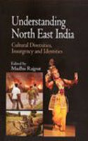 Understanding North East India: Cultural Diversities, Insurgency and Identities