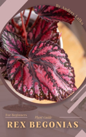 Rex Begonias