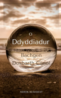 O Ddyddiadur Bachgen Dosbarth Canol