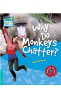 Why Do Monkeys Chatter? Level 5 Factbook: (Cambridge Young Readers)
