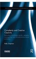 Complexity and Creative Capacity