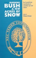 The Burning Bush and A Few Acres of Snow