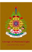 Lineage of Diamond Light Crystal Mirror 5