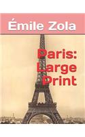 Paris: Large Print