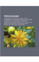 Trochilidae
