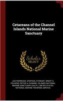 Cetaceans of the Channel Islands National Marine Sanctuary