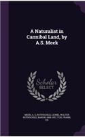 A Naturalist in Cannibal Land, by A.S. Meek