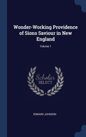 Wonder-Working Providence of Sions Saviour in New England; Volume 1