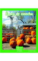 Época de Cosecha