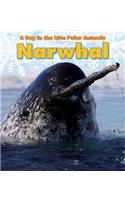 Day in the Life Polar Animals Narwhal