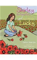 Shirley the Poppy Fairy and the Little Girl Lucky