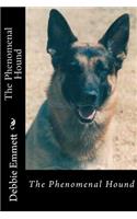 The Phenomenal Hound
